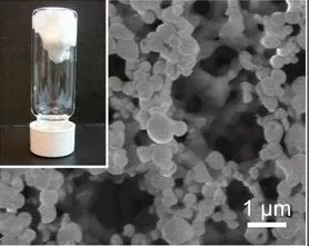 Наноконтейнеры с инсулином. Фото с сайта Journal of Agriculture and Food Chemistry.