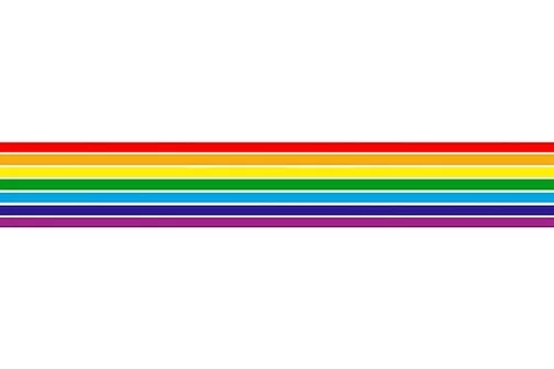 Флаг ЕАО был утвержден в 1996 году.