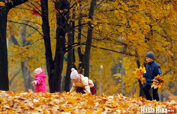 Восень у мінскім Парку Горкага, фота Сяргея Зініна.
