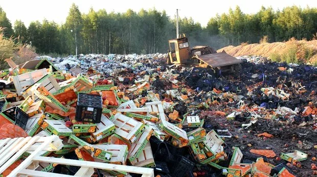 Полигон по уничтожению европейских продуктов на границе России с Беларусью. Фото Россельхознадзора.