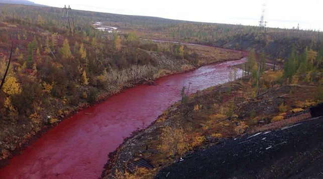 Здесь и ниже фото из соцсетей