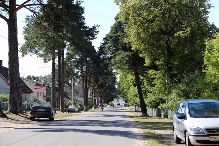 Воропаево — город-парк! В кадр попадает по меньшей мере 3 дома с цементной черепицей. Сами же дома уже обложены белым силикатным кирпичом.