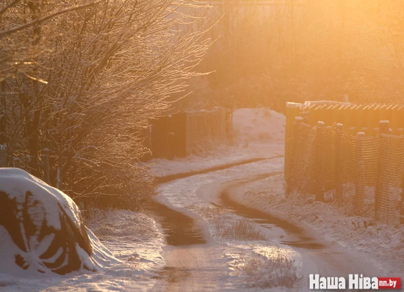 Фота Сяргея Зініна