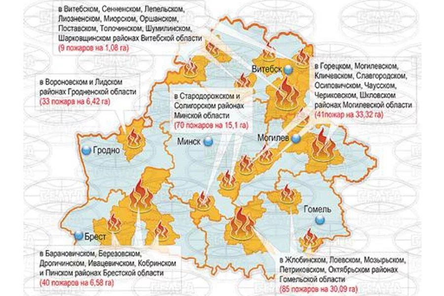 Инфографика БелТА.