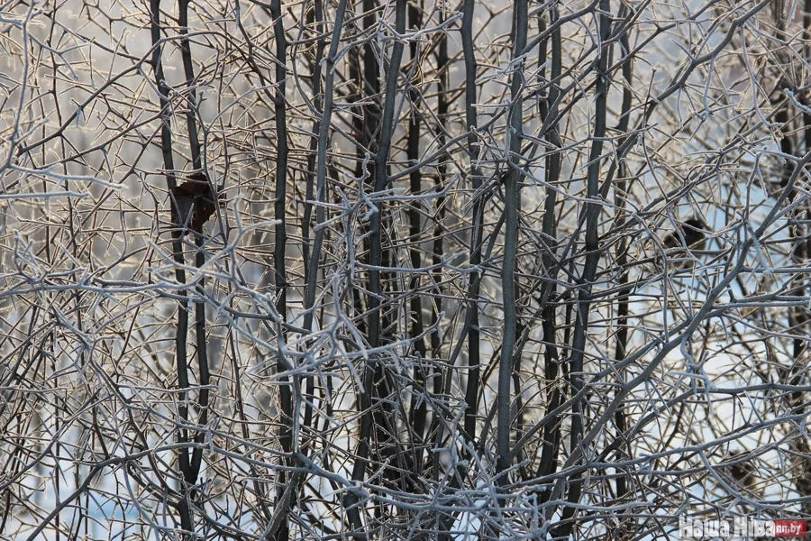 фото Юлии Бальцевич