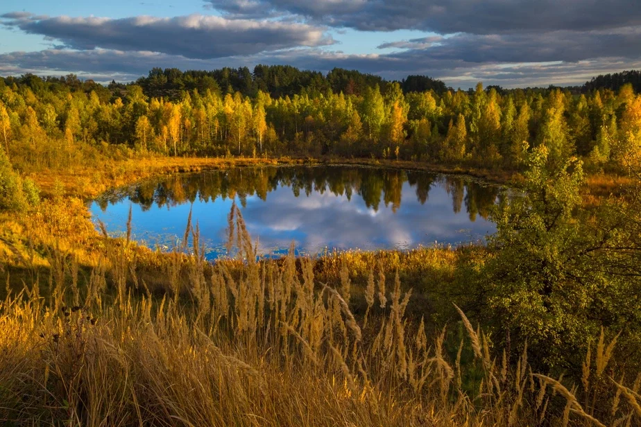 Фота Віктара Малышчыца