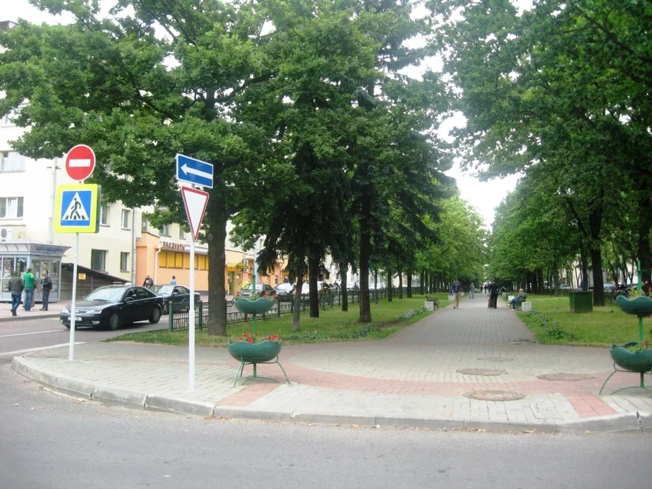 Такі родны бульвар Тараса Шаўчэнкі. Адзіны ў Менску засаджаны дубамі.