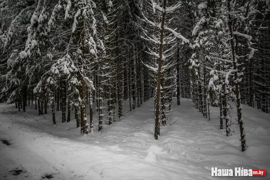 Фото Сергея Гудилина