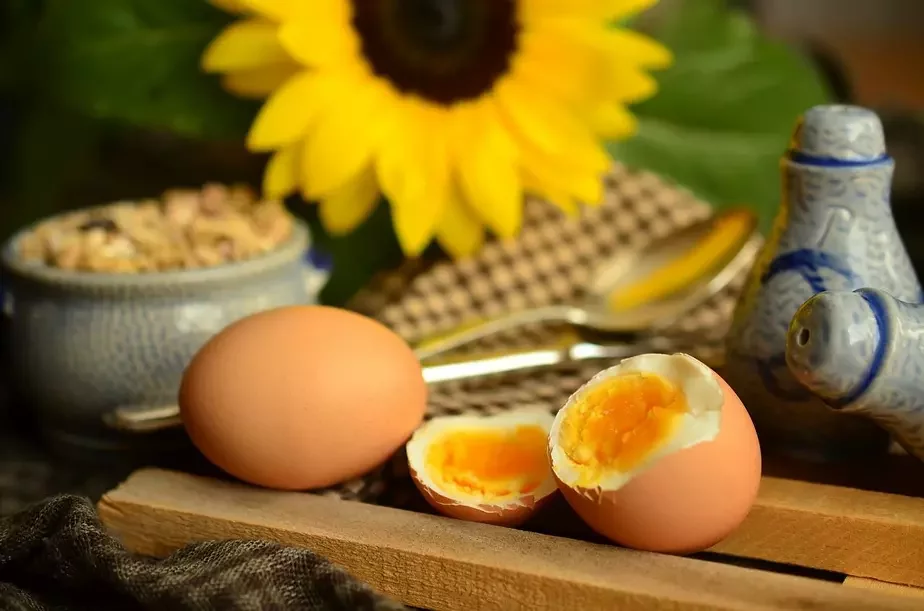 яйкі яйца eggs