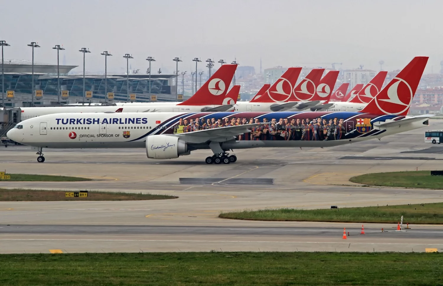 Рейсы авиакомпании turkish airlines. Авиапарк Туркиш Эйрлайнс. Туркиш Эйрлайнс Домодедово. Рейсы Туркиш Эйрлайнс. Turkish Airlines в Домодедово.