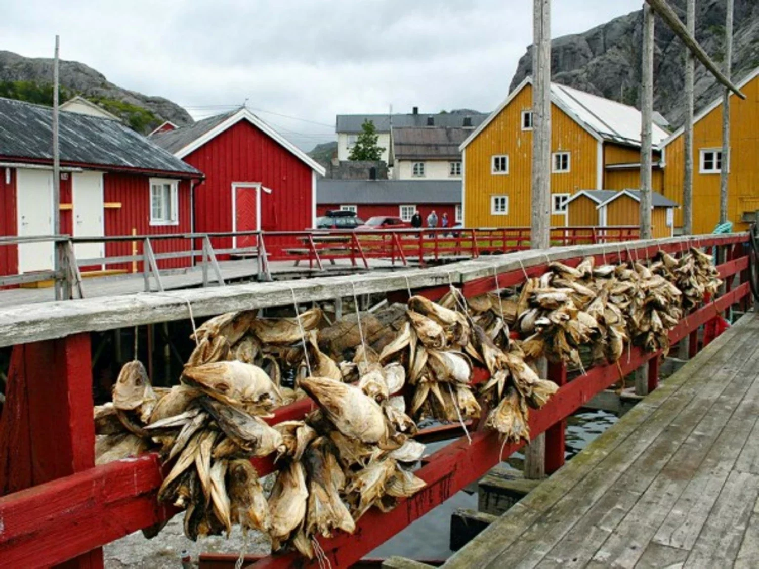 норвегия сельское хозяйство