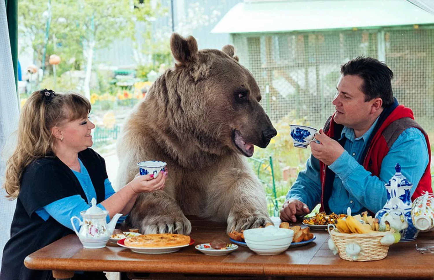 пьющий медведь горе в семье