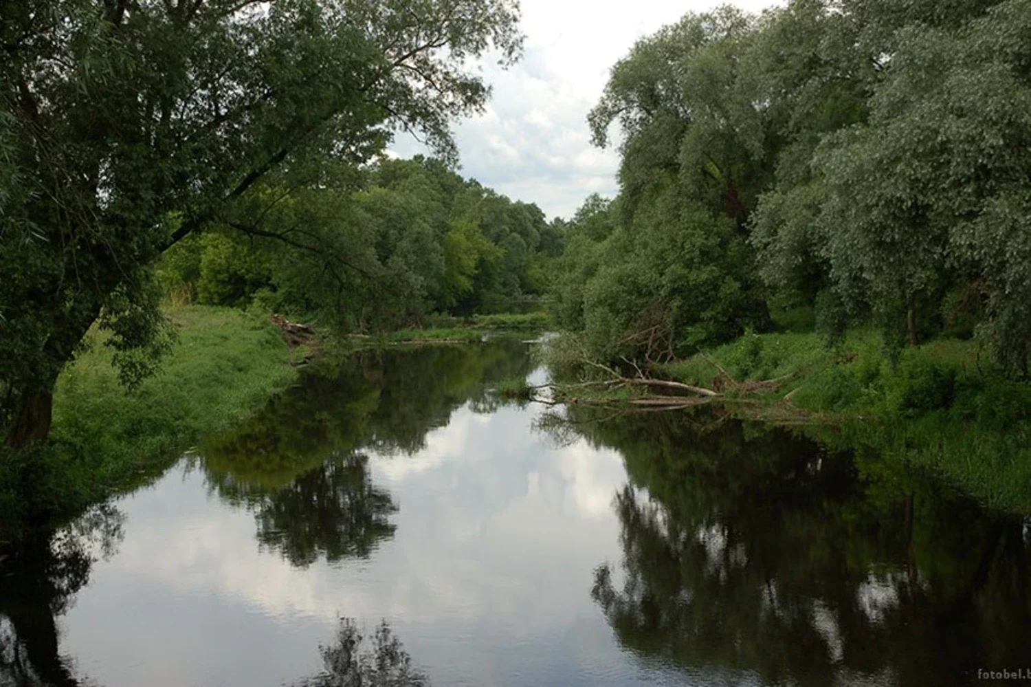 река в бресте