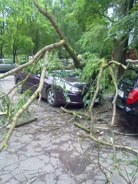  Фота Змітра Салошкіна.