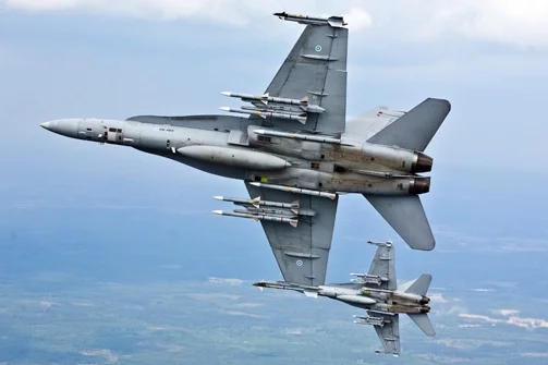 Пара фінскіх F-18C Hornet.