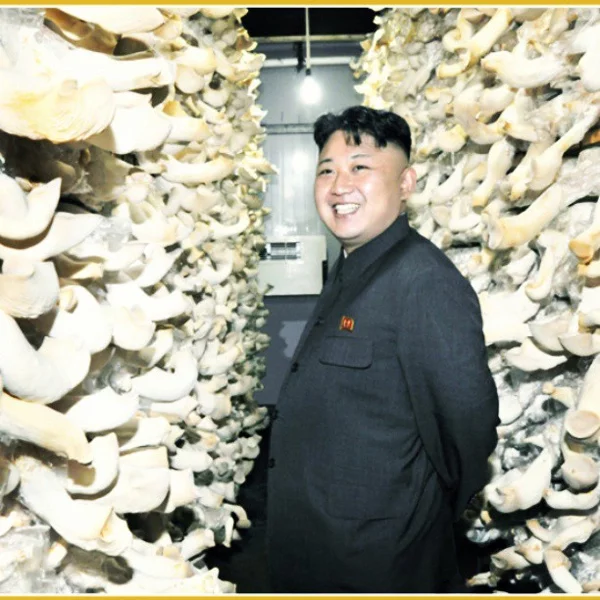 Кім Чэн Ын інспектуе грыбную фабрыку