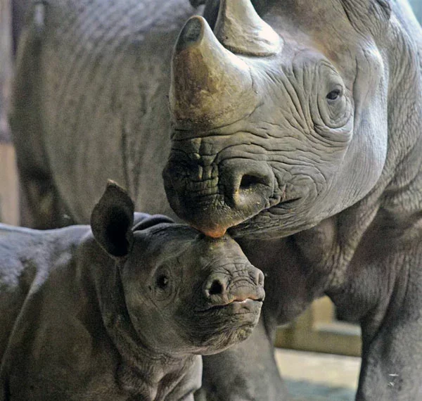 Фота Martin Meissner/AP.