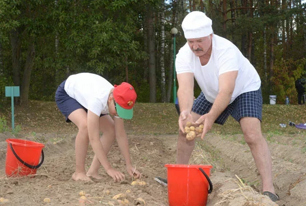 Гарачы дзень у «Драздах». 16 жніўня 2015 года.