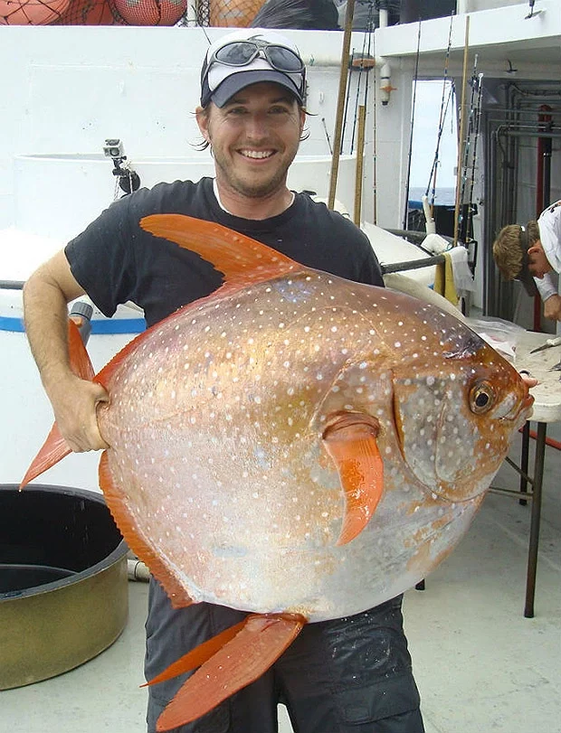 Іхтыёлаг Нік Вегнер з луннай рыбай. Фота: Southwest Fisheries Science / CenterNOAA Fisheries