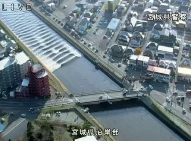 Скрыншот з відэа, распаўсюджанага паліцыяй прэфектуры Міягі, Японія.
