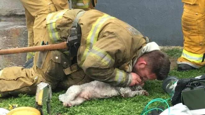 Тут і ніжэй фота: Santa Monica Fire Department