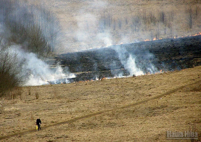 У Заслаўі пачаўся "сезон" вясновых падпалаў травы.