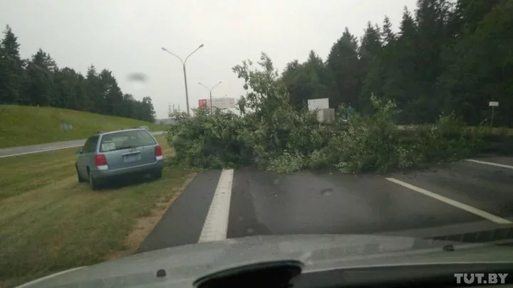 Фото: Денис Зеленко.