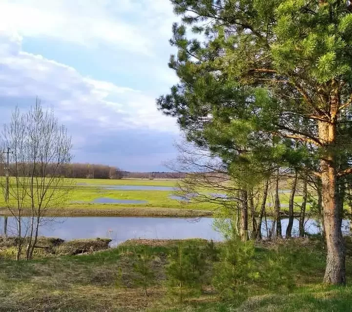 Рака Друць пад Бялынічамі. Фота: сацсеткі