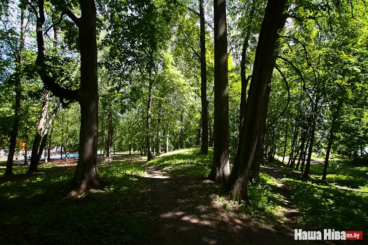 Парк Тышкевічаў