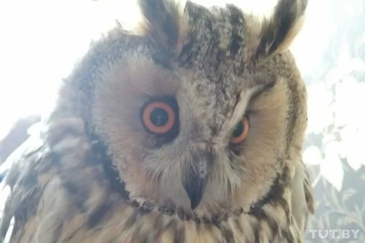 Фото предоставлено читательницей