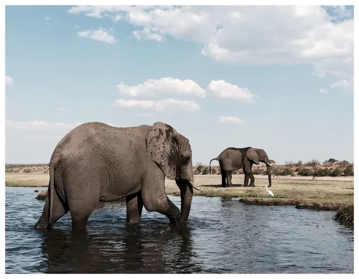 Botswana Ботсвана Батсвана