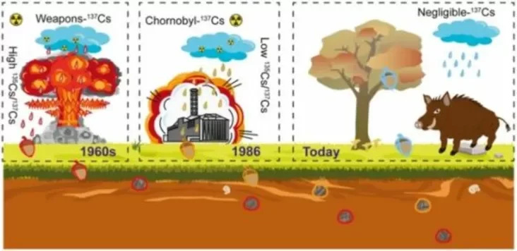 Different cesium sources are mixed in soil 