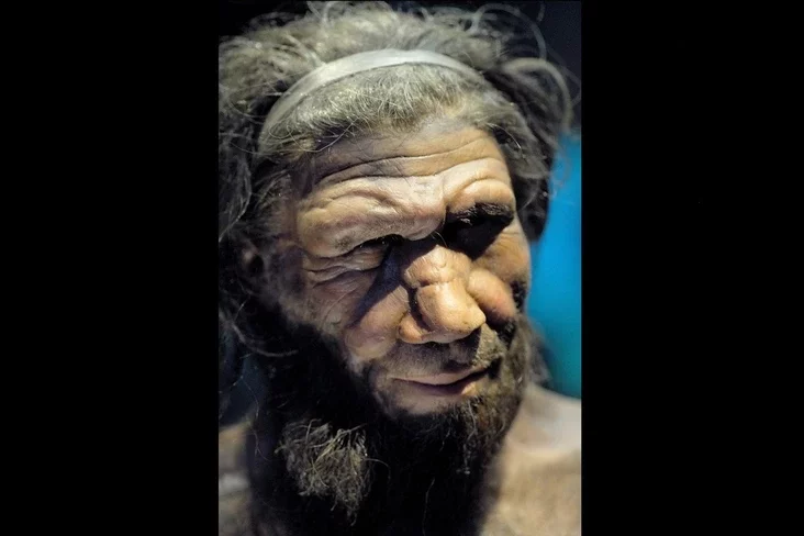 Neanderthal man reconstruction Реконструкция неандертальца Рэканструкцыя неандэртальца