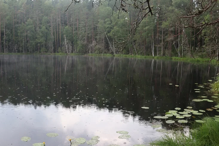 ÐÐ·ÐµÑÐ¾ ÐÐµÑÑÐ²Ð¾Ðµ. Ð¤Ð¾ÑÐ¾ - ÐÐ»ÐµÐ½Ð° ÐÐ°ÑÑÐ¾Ð¼ÐµÐµÐ²Ð°