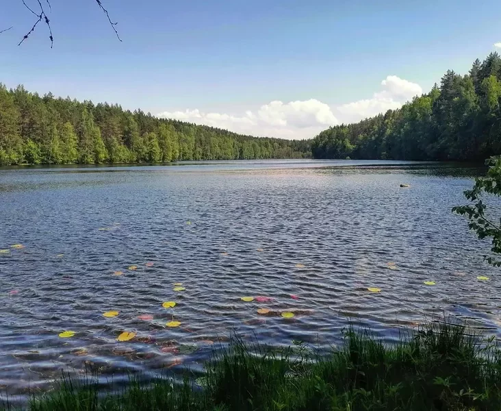 Lake Ilginia, Medydelski district Oziero Ilhinija, Miadielskij rajon. Voziera Ilhinija, Miadzielski rajon