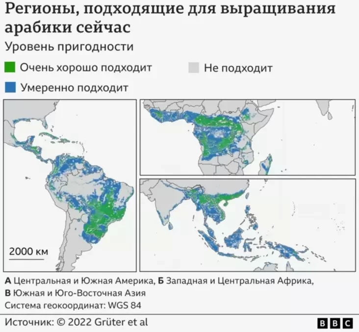 Карта с районами, подходящими для выращивания кофе.