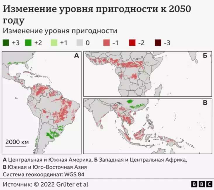 Карта с районами, подходящими для выращивания кофе, по рассчетам ученых на 2050 год.