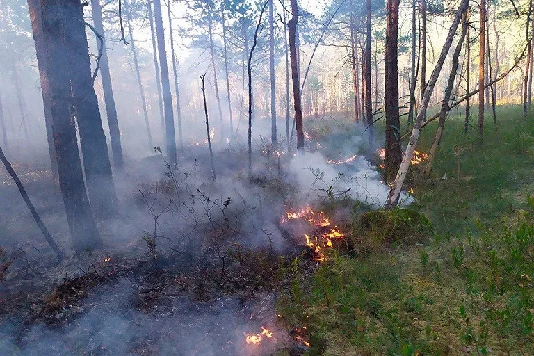 Здымак ілюстрацыйны. Фота: Мінлясгас