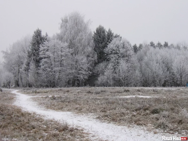 Фота Юліі Міцкевіч