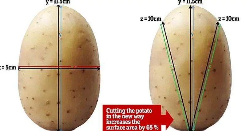 В качестве традиционного варианта нарезки рассматривался способ «крест накрест». Нарезка по рассчитанному студентами способу (справа) увеличивает площадь наружной поверхности кусочка картофеля на 65%