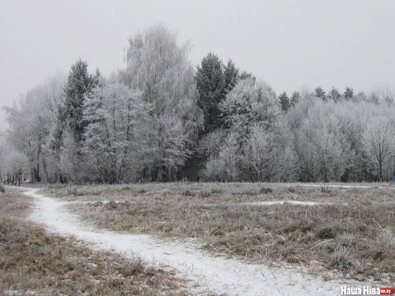 Фота Юліі Міцкевіч