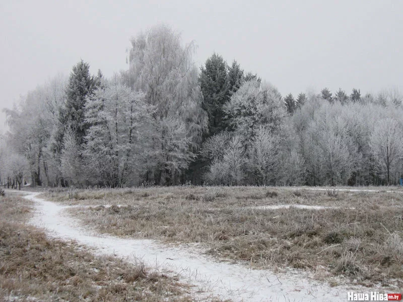 Фота Юліі Міцкевіч