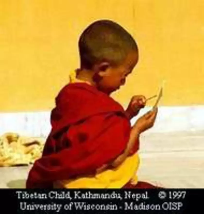 ФОТА www.wisc.edu