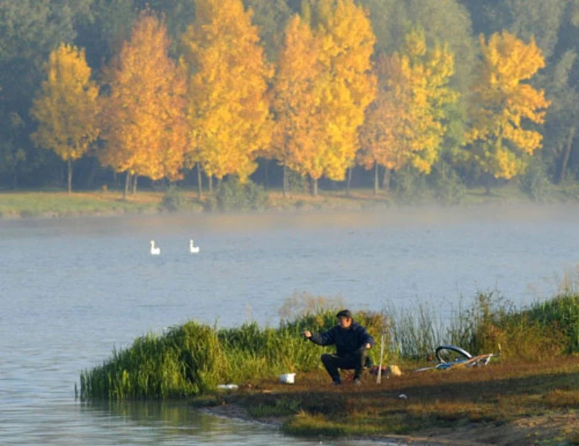 Niasvizh. Photo by Julia Darashkevich