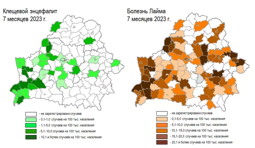 клешч энцэфаліт клещ