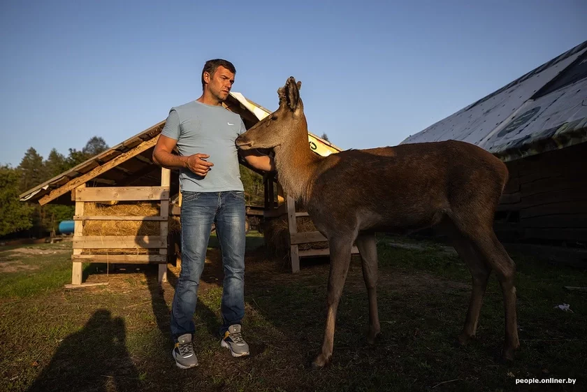 Алень Фёдар і яго гаспадар Алег Олень Фёдор и его хозяин Олег Deer Fyodor and his owner Oleg 