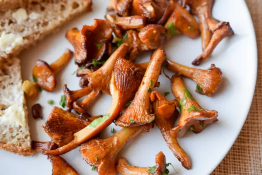 chanterelles