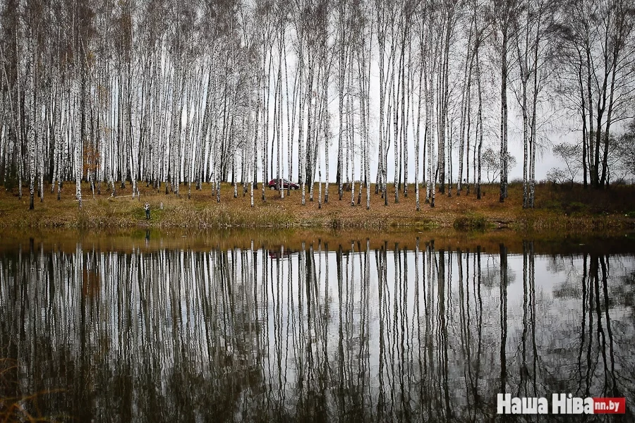 Пейзажи восточной Беларуси. Фото Сергея Гудилина.
