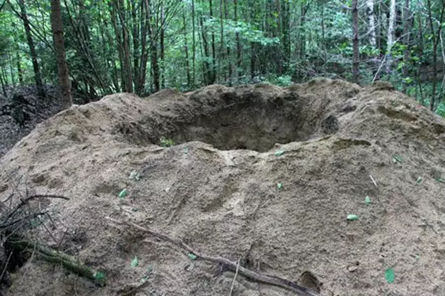 Разграбленный курган в Ганцевичском районе. (См. «В Ганцевичском районе «черные копатели» разграбили курганные могильники».)