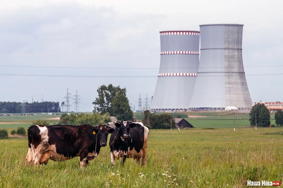 Atamnaja elektrastancyja stała łakamatyvam rostu nasielnictva ŭ Astraŭcy